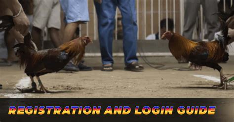 Exciting Sabong Registration and Login Guide!.